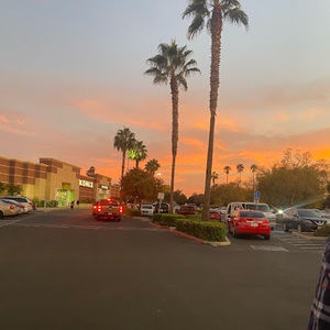 Meet your Posher, Jacky